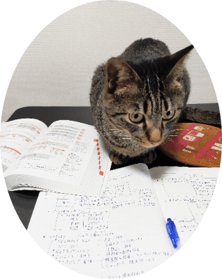 勉強を見守る猫